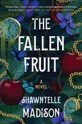 Cover of Fallen Fruit