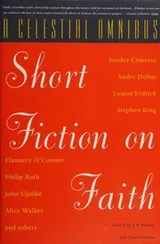 Cover of A Celestial Omnibus
