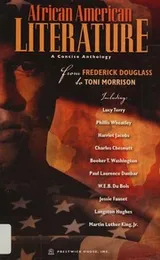 Cover of African American Literature
