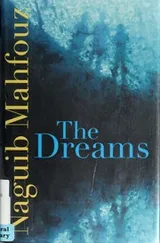 Cover of The dreams