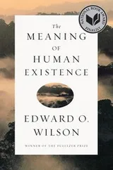 Cover of Meaning of Human Existence