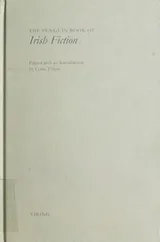 Cover of The Penguin book of Irish fiction