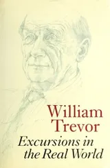 Cover of Excursions in the real world
