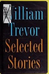 Cover of Selected Stories