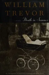 Cover of Death in Summer