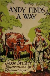 Cover of Andy finds a way