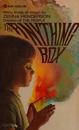 Cover of THE ANYTHING BOX.