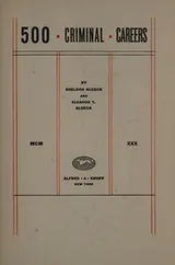 Cover of 500 criminal careers