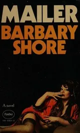 Cover of Barbary Shore