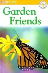 Cover of Garden friends