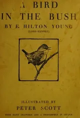 Cover of A bird in the bush