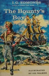 Cover of The Bounty's boy;