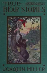 Cover of True bear stories