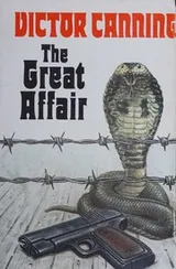 Cover of The great affair