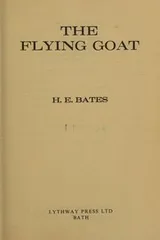Cover of The flying goat