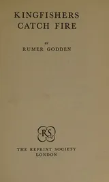 Cover of Kingfishers catch fire