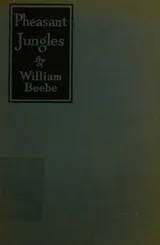 Cover of PHEASANT JUNGLES