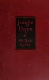 Cover of Jungle days,