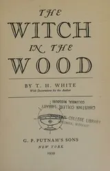 Cover of The witch in the wood