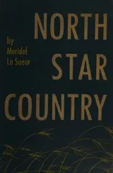 Cover of North star country