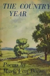 Cover of The Country Year