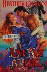 Cover of Love Not a Rebel