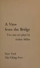 Cover of a view from the bridge