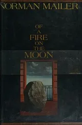 Cover of Of a fire on the moon