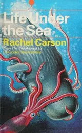 Cover of Life Under the Sea