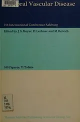 Cover of Cerebral Vascular Disease7th International Conference Salzburg