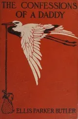 Cover of The Confessions of a Daddy