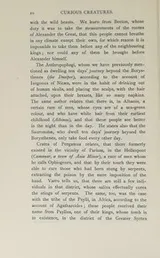 Cover of Curious Creatures in Zoology