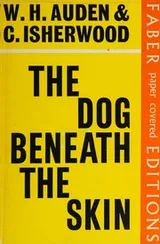 Cover of The Dog Beneath the Skin