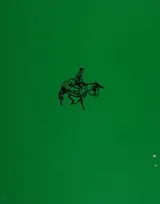 Cover of Down Tumbledown Mountain
