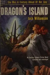 Cover of Dragon's Island