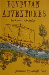 Cover of Egyptian adventures