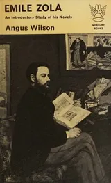 Cover of Emile Zola