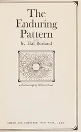 Cover of The Enduring Pattern