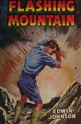 Cover of flashing mountain