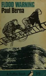 Cover of Flood Warning