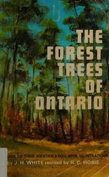 Cover of The forest trees of Ontario and the more commonly planted foreign trees