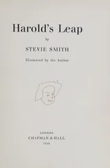 Cover of Harold's leap