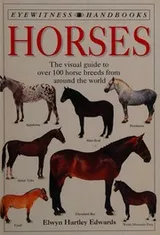 Cover of Horses