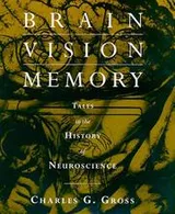 Cover of Brain, vision, memory
