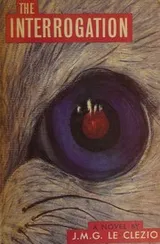 Cover of The Interrogation