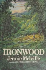 Cover of Ironwood