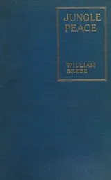 Cover of JUNGLE PEACE ~ ILLUSTRATED FROM PHOTOGRAPHS