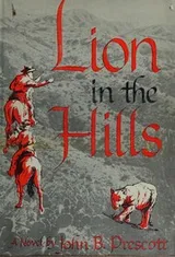 Cover of Lion in the hills