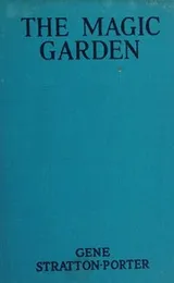 Cover of The magic garden