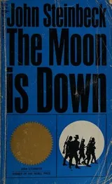 Cover of The Moon is Down and Short Stories